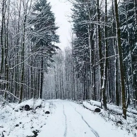 Isolde Daire Bischofsheim an der Rhön